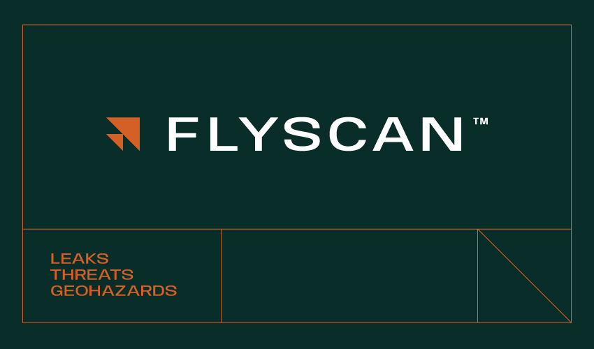 Flyscan